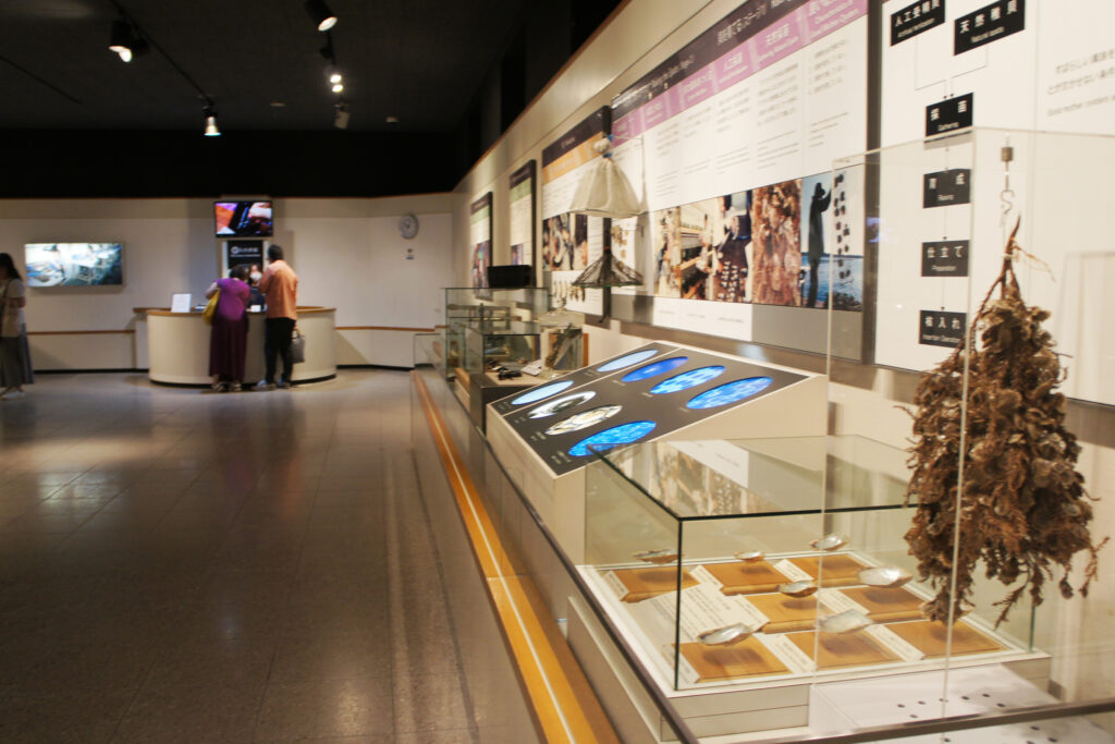 Displays on how pearls are made at the Pearl Museum on Mikimoto Pearl Island.