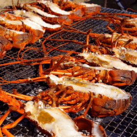 Dive into Toba - Ama Divers, Fishermen, Seafood & More