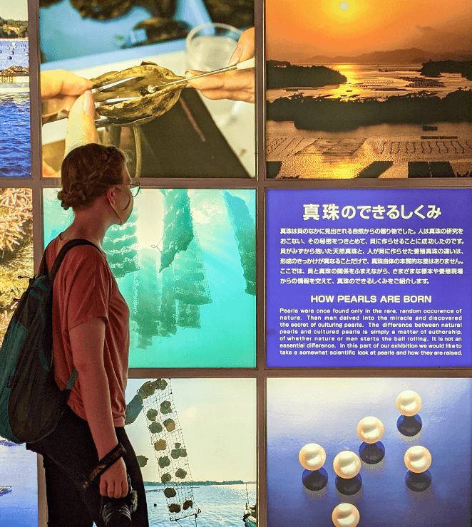 Mikimoto Pearl museum